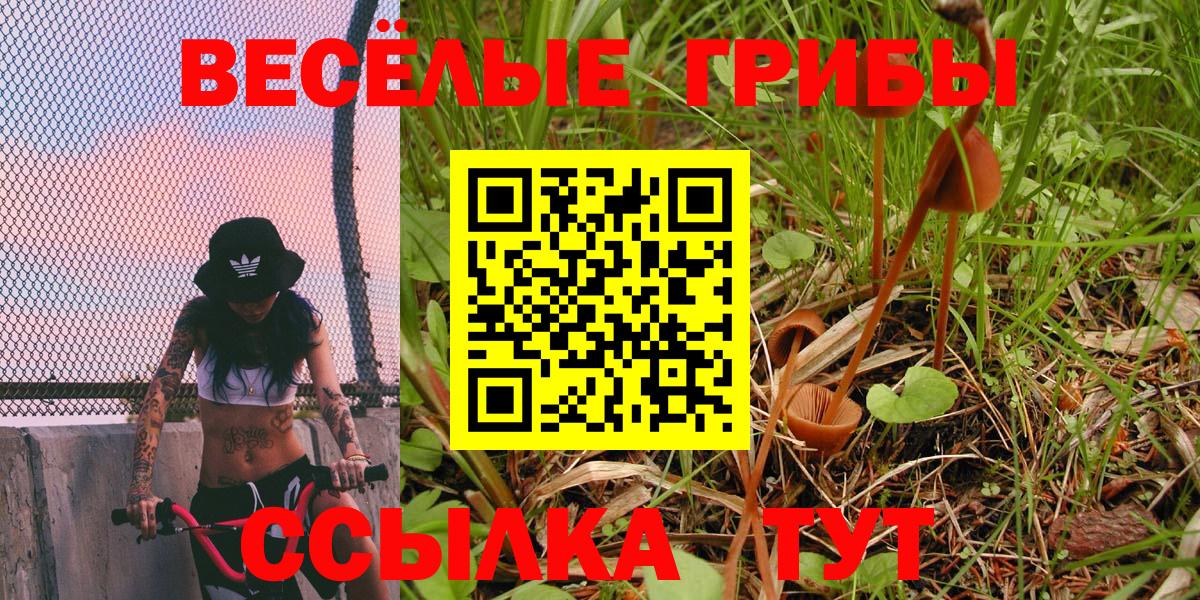 Галлюциногенные грибы прущие грибы  Вход с VPN  Красноперекопск 