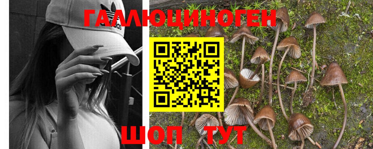 Псилоцибиновые грибы Magic Shrooms Красноперекопск