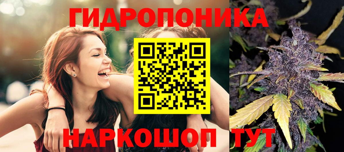 МАРИХУАНА сатива Красноперекопск